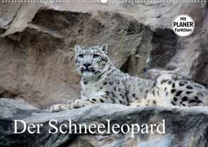Der Schneeleopard (Wandkalender 2022 DIN A2 quer) von Klatt,  Arno