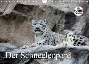 Der Schneeleopard (Wandkalender 2022 DIN A4 quer) von Klatt,  Arno