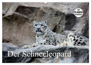 Der Schneeleopard (Wandkalender 2024 DIN A2 quer), CALVENDO Monatskalender von Klatt,  Arno