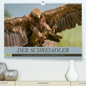 Der Schreiadler (Clanga pomarina) – Deutschands kleinster und stark gefährdeter Adler. (Premium, hochwertiger DIN A2 Wandkalender 2023, Kunstdruck in Hochglanz) von Wünsche,  Arne