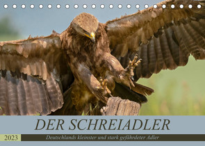 Der Schreiadler (Clanga pomarina) – Deutschands kleinster und stark gefährdeter Adler. (Tischkalender 2023 DIN A5 quer) von Wünsche,  Arne