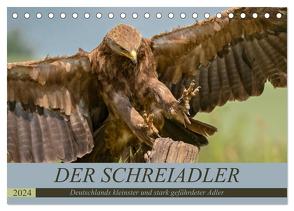 Der Schreiadler (Clanga pomarina) – Deutschands kleinster und stark gefährdeter Adler. (Tischkalender 2024 DIN A5 quer), CALVENDO Monatskalender von Wünsche,  Arne