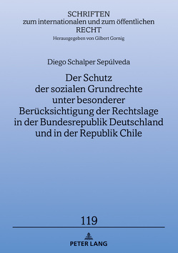 Der Schutz der sozialen Grundrechte unter besonderer Berücksichtigung der Rechtslage in der Bundesrepublik Deutschland und in der Republik Chile von Schalper,  Diego