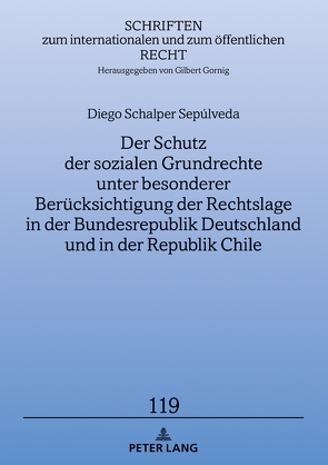 Der Schutz der sozialen Grundrechte unter besonderer Berücksichtigung der Rechtslage in der Bundesrepublik Deutschland und in der Republik Chile von Schalper,  Diego