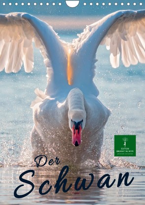 Der Schwan (Wandkalender 2022 DIN A4 hoch) von Roder,  Peter