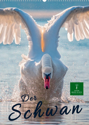 Der Schwan (Wandkalender 2023 DIN A2 hoch) von Roder,  Peter