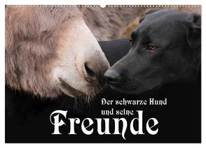 Der schwarze Hund und seine Freunde (Wandkalender 2024 DIN A2 quer), CALVENDO Monatskalender von Gsödl,  Michael