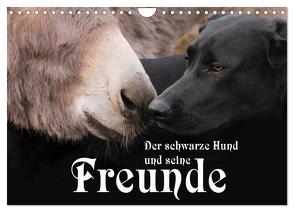 Der schwarze Hund und seine Freunde (Wandkalender 2024 DIN A4 quer), CALVENDO Monatskalender von Gsödl,  Michael