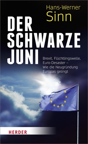 Der Schwarze Juni von Sinn,  Hans-Werner