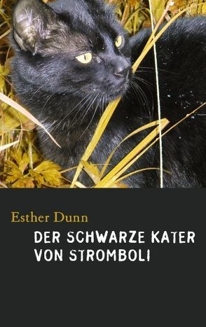 DER SCHWARZE KATER VON STROMBOLI von Dunn,  Esther