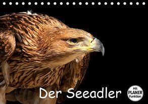 Der Seeadler (Tischkalender 2019 DIN A5 quer) von Klatt,  Arno