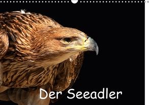 Der Seeadler (Wandkalender 2018 DIN A3 quer) von Klatt,  Arno