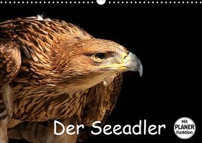 Der Seeadler (Wandkalender 2019 DIN A3 quer) von Klatt,  Arno