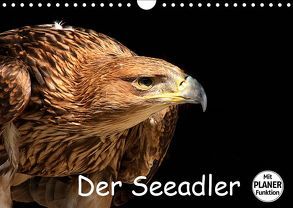 Der Seeadler (Wandkalender 2019 DIN A4 quer) von Klatt,  Arno