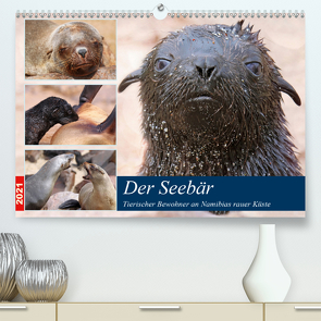 Der Seebär 2021 (Premium, hochwertiger DIN A2 Wandkalender 2021, Kunstdruck in Hochglanz) von Woyke,  Wibke