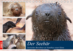 Der Seebär 2021 (Tischkalender 2021 DIN A5 quer) von Woyke,  Wibke