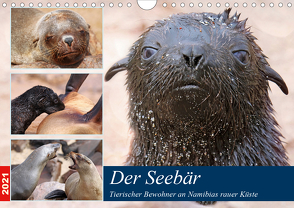 Der Seebär 2021 (Wandkalender 2021 DIN A4 quer) von Woyke,  Wibke