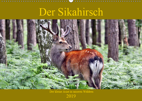 Der Sikahirsch – Der kleine Asiat in unseren Wäldern (Wandkalender 2019 DIN A2 quer) von Klatt,  Arno