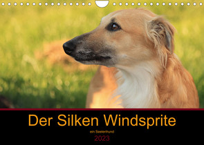 Der Silken Windsprite – ein Seelenhund (Wandkalender 2023 DIN A4 quer) von Alexandra Wais,  Sabine