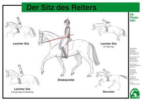 Der Sitz des Reiters von Lockert,  Ute, Rieder,  Ulrike