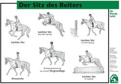 Der Sitz des Reiters von Deutsche Reiterliche Vereinigung e.V. (FN), Deutsche Reiterliche Vereinigung e.V. (FN) - Bereich Sport,  Abt. Ausbildung, Koller,  Cornelia