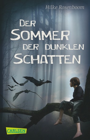 Der Sommer der dunklen Schatten von Rosenboom,  Hilke