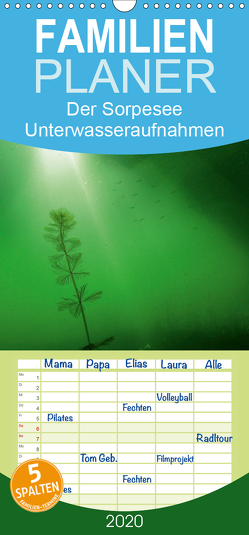 Der Sorpesee – Unterwasseraufnahmen aus einem Stausee – Familienplaner hoch (Wandkalender 2020 , 21 cm x 45 cm, hoch) von Suttrop,  Christian