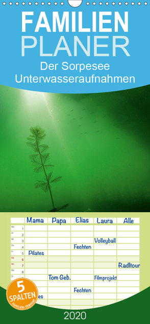 Der Sorpesee – Unterwasseraufnahmen aus einem Stausee – Familienplaner hoch (Wandkalender 2020 , 21 cm x 45 cm, hoch) von Suttrop,  Christian