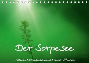 Der Sorpesee – Unterwasseraufnahmen aus einem Stausee (Tischkalender 2018 DIN A5 quer) von Suttrop,  Christian