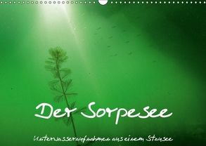 Der Sorpesee – Unterwasseraufnahmen aus einem Stausee (Wandkalender 2018 DIN A3 quer) von Suttrop,  Christian