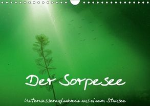 Der Sorpesee – Unterwasseraufnahmen aus einem Stausee (Wandkalender 2018 DIN A4 quer) von Suttrop,  Christian