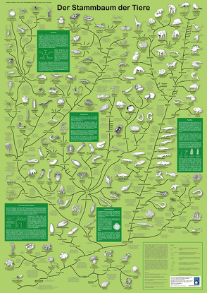 Der Stammbaum der Tiere von Endres,  Monika, Leubner,  Fanny, Mau,  Matthias