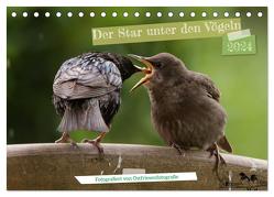 Der Star unter den Vögeln – Fotografiert von Ostfriesenfotografie (Tischkalender 2024 DIN A5 quer), CALVENDO Monatskalender von Worch - Ostfriesenfotografie,  Christina