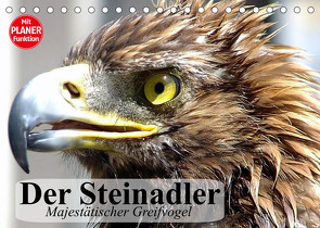 Der Steinadler. Majestätischer Greifvogel (Tischkalender 2023 DIN A5 quer) von Stanzer,  Elisabeth