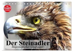 Der Steinadler. Majestätischer Greifvogel (Tischkalender 2024 DIN A5 quer), CALVENDO Monatskalender von Stanzer,  Elisabeth