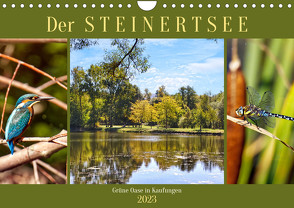 Der Steinertsee (Wandkalender 2023 DIN A4 quer) von Löwer,  Sabine