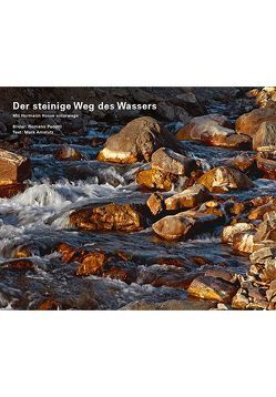 Der steinige Weg des Wassers von Amstutz,  Mark, Pedetti,  Romano