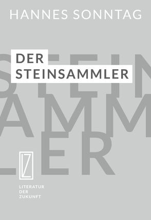 Der Steinsammler von Sonntag,  Hannes