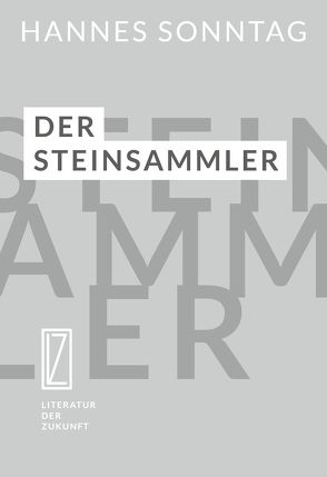 Der Steinsammler von Sonntag,  Hannes