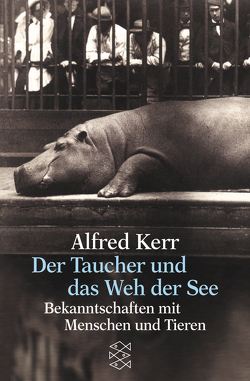 Der Taucher und das Weh der See von Kerr,  Alfred