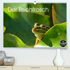 Der Teichfrosch (Premium, hochwertiger DIN A2 Wandkalender 2022, Kunstdruck in Hochglanz) von Schmutzler-Schaub,  Christine