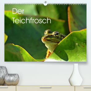 Der Teichfrosch (Premium, hochwertiger DIN A2 Wandkalender 2022, Kunstdruck in Hochglanz) von Schmutzler-Schaub,  Christine