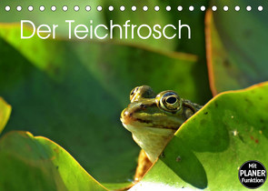 Der Teichfrosch (Tischkalender 2022 DIN A5 quer) von Schmutzler-Schaub,  Christine