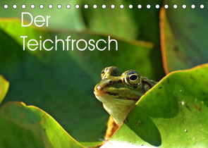 Der Teichfrosch (Tischkalender 2022 DIN A5 quer) von Schmutzler-Schaub,  Christine