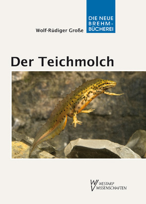 Der Teichmolch von Große,  Wolf-Rüdiger