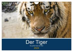 Der Tiger – die größte Katze der Welt (Wandkalender 2024 DIN A4 quer), CALVENDO Monatskalender von the Snow Leopard,  Cloudtail