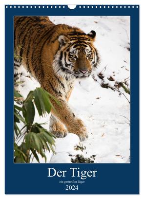 Der Tiger – ein gestreifter Jäger (Wandkalender 2024 DIN A3 hoch), CALVENDO Monatskalender von the Snow Leopard,  Cloudtail