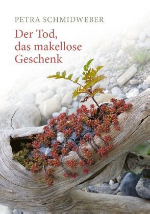 Der Tod, das makellose Geschenk von Schmidweber,  Petra