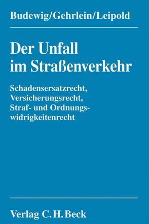 Der Unfall im Straßenverkehr von Budewig,  Klaus, Gehrlein,  Markus, Leipold,  Klaus