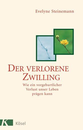 Der verlorene Zwilling von Steinemann,  Evelyne